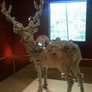 Meet your Posher, Wohma